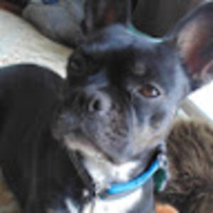 Meet your Posher, Emilee